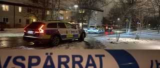 Det starka samhället måste ta ansvar för tryggheten