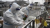 Ökad smitta i Kina – fler hålls hemma