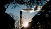 Sveriges utsläpp minskade under pandemin