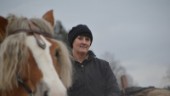 Fyrverkerier skrämde hennes hästar – nu har polisen lagt ner utredningen