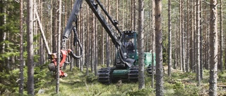 Seminarium i Skellefteå om ökad tillväxt i skogen