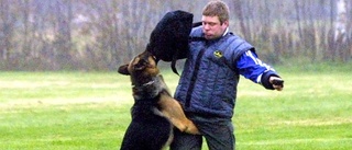 På polisens träning får "karatehunden" in en fullträff: "Det blev en humoristisk bild " 