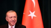 Erdogan sparkar statistikchef