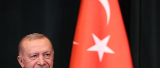 Erdogan vill få ner skenande inflation