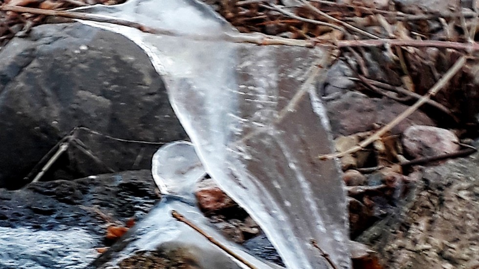 Insändarskribenten Tuomo Haapala fångade en isformation som en fågel på bild vid Fors kyrka.