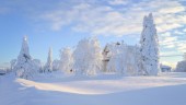 Läsarbilden: Vintervitt och vackert i byn Fällfors