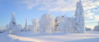 Läsarbilden: Vintervitt och vackert i byn Fällfors