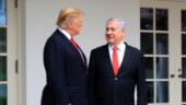Trump: Netanyahu ville aldrig ha fred