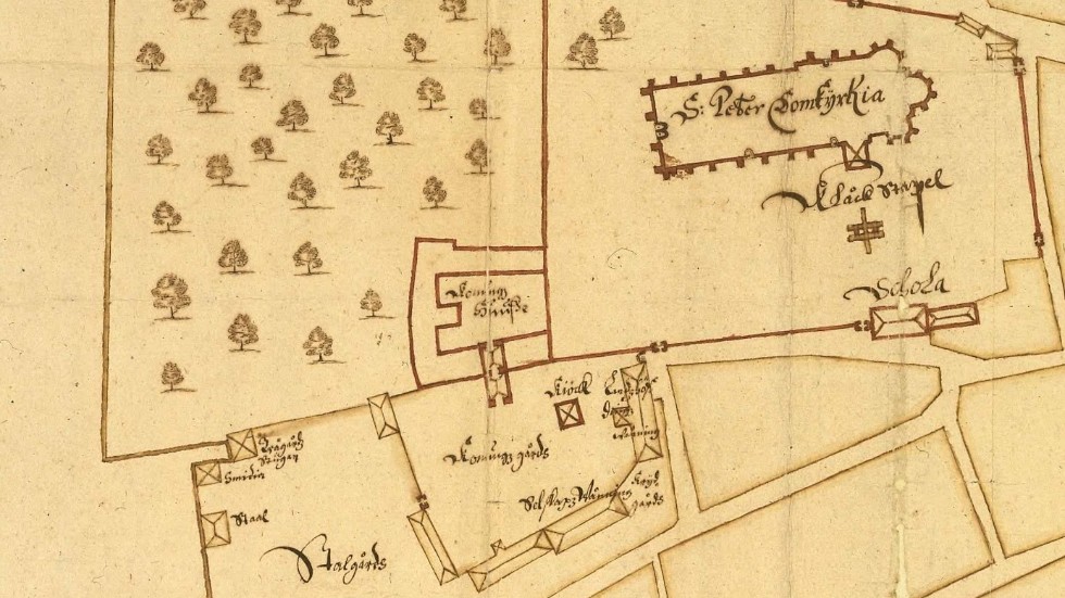 Utsnitt ur 1651 års stadskarta upprättad av lantmätare Johan de Rogier. På kartan ses bland annat slottet, domkyrkan och de byggnader som fanns vid slottet. Vid yttre borggården, som då kallades Konungz gård fanns vid denna tid landshövdingens våning. Det som nu är den östra delen av slottsparken utgjordes då av Stallgården där det fanns kreatursstall, en trädgårdsstuga och en smedja.