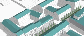 Hård konkurrens om att få bygga på Anderstorp • ”Visar hur stort intresset är för Skellefteå”