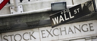 Teknikjättar sänke på Wall Street