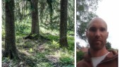 Skogsbruket innebär en gemensam strävan framåt