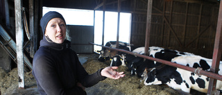 Nya generationens mjölkbönder: "Vi tror på framtiden"