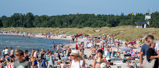 Så många besökare gästar Gotland under midsommarveckan • Över 10 000 fler än föregående vecka