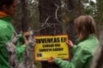 Svea skog avbryter avverkningar efter protester