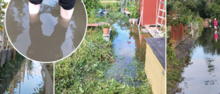 Översvämning i Lasstorps koloniförening: "Inte första gången"