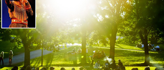 Woodstockeufori väntas på Skurholmen i helgen om vädergudarna tillåter