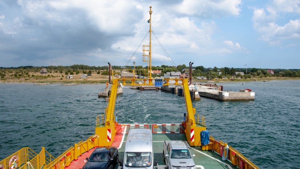 Fårönatta önskar bättre stöttning ”Gör mig lite irriterad”