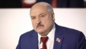 FN-råd fördömer människorättsbrott i Belarus