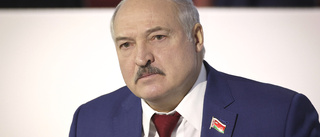 FN-råd fördömer människorättsbrott i Belarus