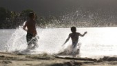 Kommunen varnar för vattenloppor vid populär badplats