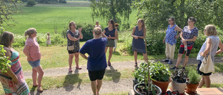 Nya gruppen lär och tar i varandras trädgårdar: "Grepen står där"