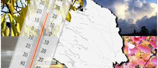 Norrbotten missar värmeböljan • Då kan det bli 25 grader vid kusten • Meteorologen: "Fjällvandrarna är det synd om"