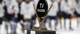 Storseger för Västerbotten i kvartsfinalen av TV-pucken – med 14 spelare från AIK i truppen