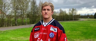 Piteå vann dragkampen om SHL-meriterade backlöftet: "Spelar en rolig fartfylld hockey och har något bra på gång"