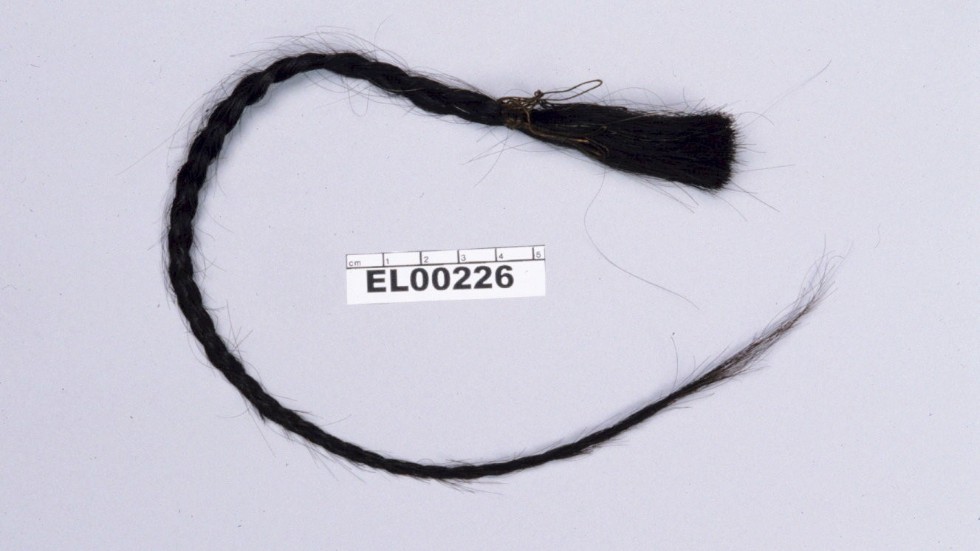 Läkaren som hanterade Sitting Bulls kropp stal hår och kläder från liket för att spara dem som souvenirer.