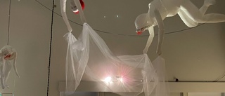 Nu öppnar hyllad utställning i Katrineholms konsthall: Uppblåsbara dockor söker kontakt 