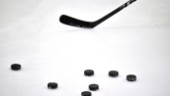 Boden anmäler hockeyettan för korruption