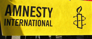 Amnesty ber om ursäkt: Navalnyj är samvetsfånge