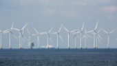 Östgötakommuner bör tillåta vindkraft i sina havsvatten