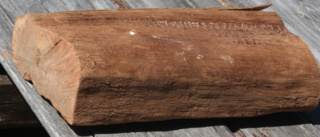 Förhistoriskt fynd – ”krokodilrygg” visade sig vara 2 300 år gammal: ”Det såg jag direkt jag såg den”