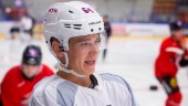 Fyra tidigare Luleå Hockey-spelare klarade gallringen – Lundkvist med i premiären