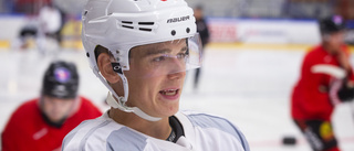 Fyra tidigare Luleå Hockey-spelare klarade gallringen – Lundkvist med i premiären