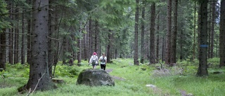 Framtiden för Sörmlands skogsbruk avgörs i EU 