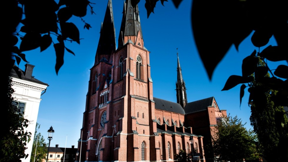 "Ett lyckligare år" handlar om teologistudenten Pontus Wikner (1837–1888) och hans brottning med Gud i 1850-talets Uppsala. Här en bild på Uppsala domkyrka. Den svenska gayrörelse har i Wikner sett en tidig förebild.