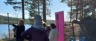 SPF Fjällvinden på försommarvandring