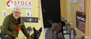 Eskilstunalärare i ny forskningsstudie: Hundar tränas för att upptäcka covid-19