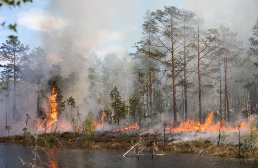 Under söndagen kommer länsstyrelsen att genomföra en naturvårdsbränning på en ö i Ydre kommun. (Bilden är tagen vid en tidigare naturvårdsbränning.) 