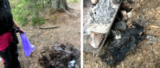 De stoppade branden i skogen: "Det var bara en tidsfråga innan det skulle ta sig"