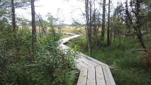 Storsund naturreservat