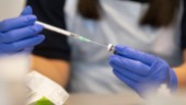Forskare vill vaccinera barn mot covid-19