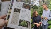 Flensbördiga Farbror Grön lär japaner att odla på svenskt vis – "Nyfikna på vårt sätt att jobba med naturen"