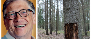Microsoft och Combitech ska rädda svensk skog: "Granbarkborren är snabb men snart är vi det också"