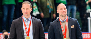 Sparkades i Rögle – här är förra Luleå Hockey-duons nya uppdrag