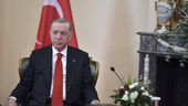 Spricka i Erdogans allians kan förhala Nato-ja