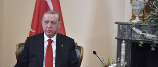 Spricka i Erdogans allians kan förhala Nato-ja